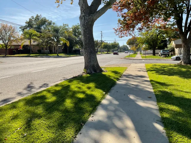 a view of backyard with green space