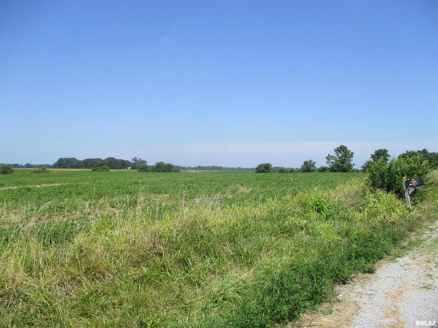 0 Bean Road Whittington, IL 62897 - Photo 4 of 8 a view of lake and green space