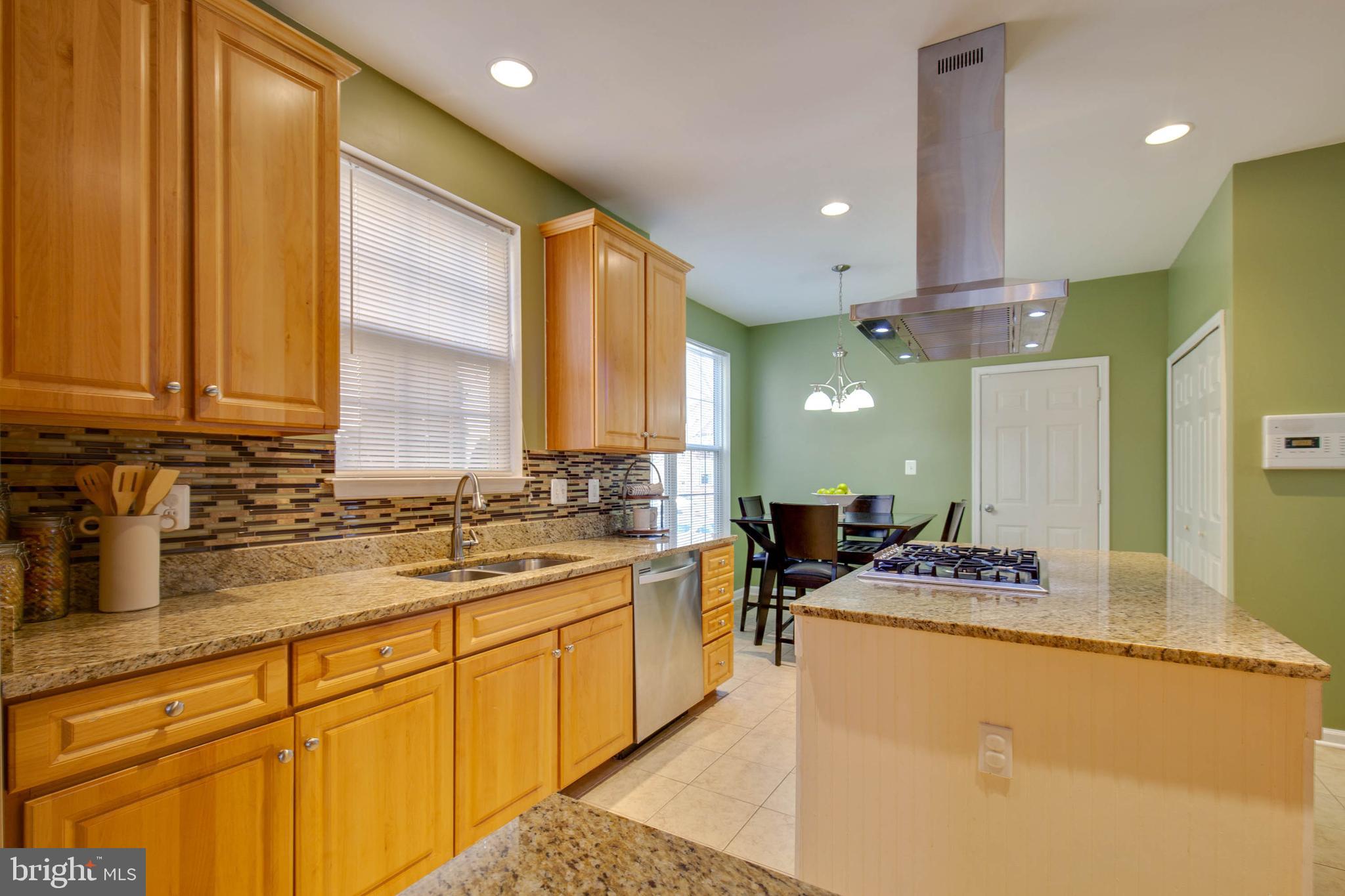 8371 Tillett Loop Manassas, VA 20110 - Photo 14 of 35 Mosaic Backsplash and Granite