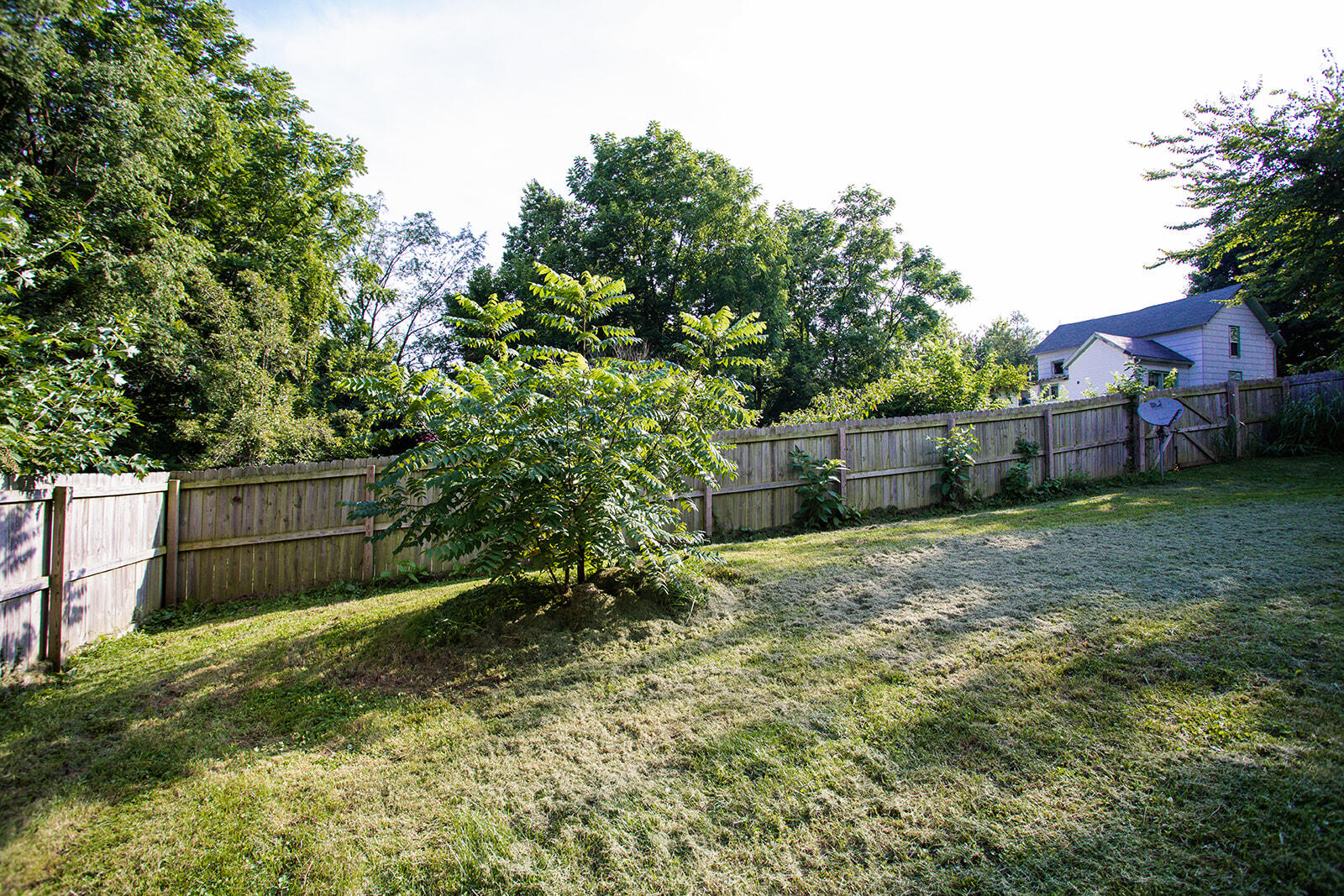 223 Pendleton Street Winchester, KY 40391 - Photo 23 of 28 8G1A0271