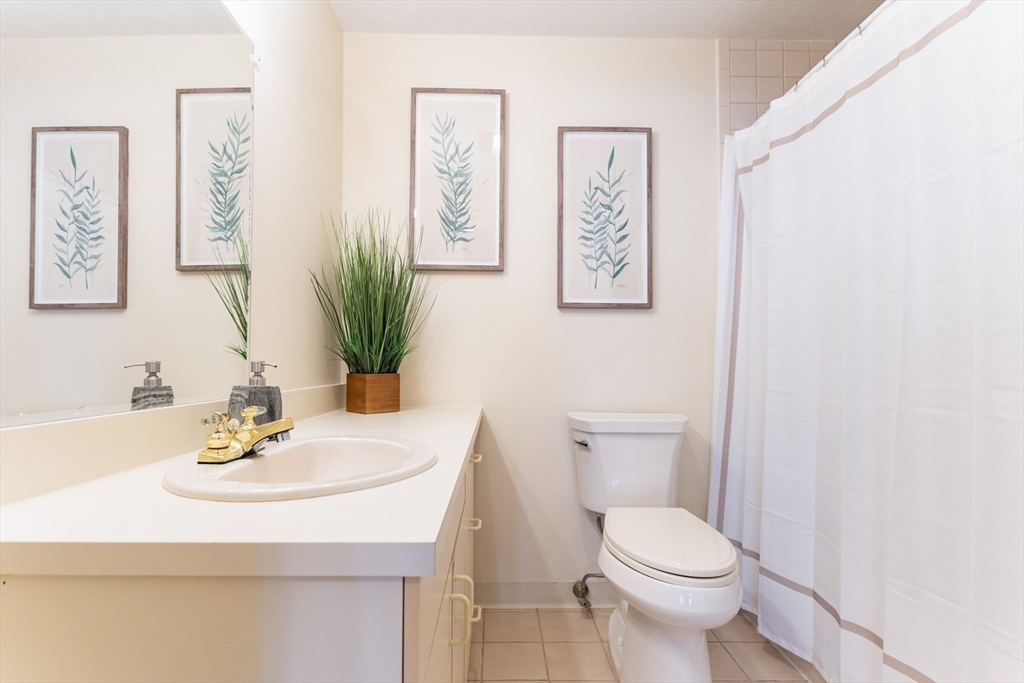 44 Elm Street, Unit 501 Worcester, MA 01609 - Photo 19 of 32 a bathroom with a sink a toilet and a mirror