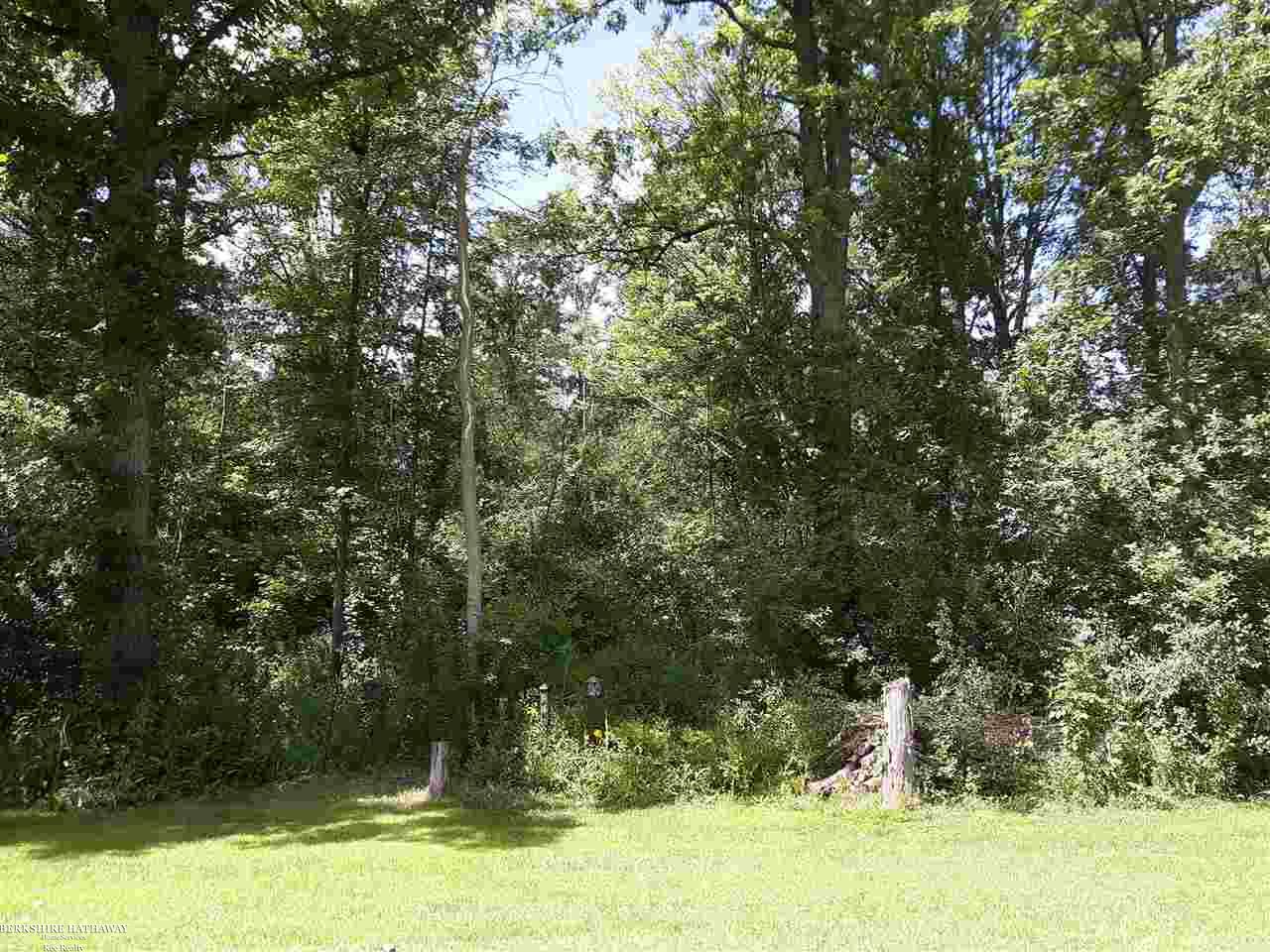 6047 Connell Road Yale, MI 48097 - Photo 19 of 20 31390662-18.JPG
