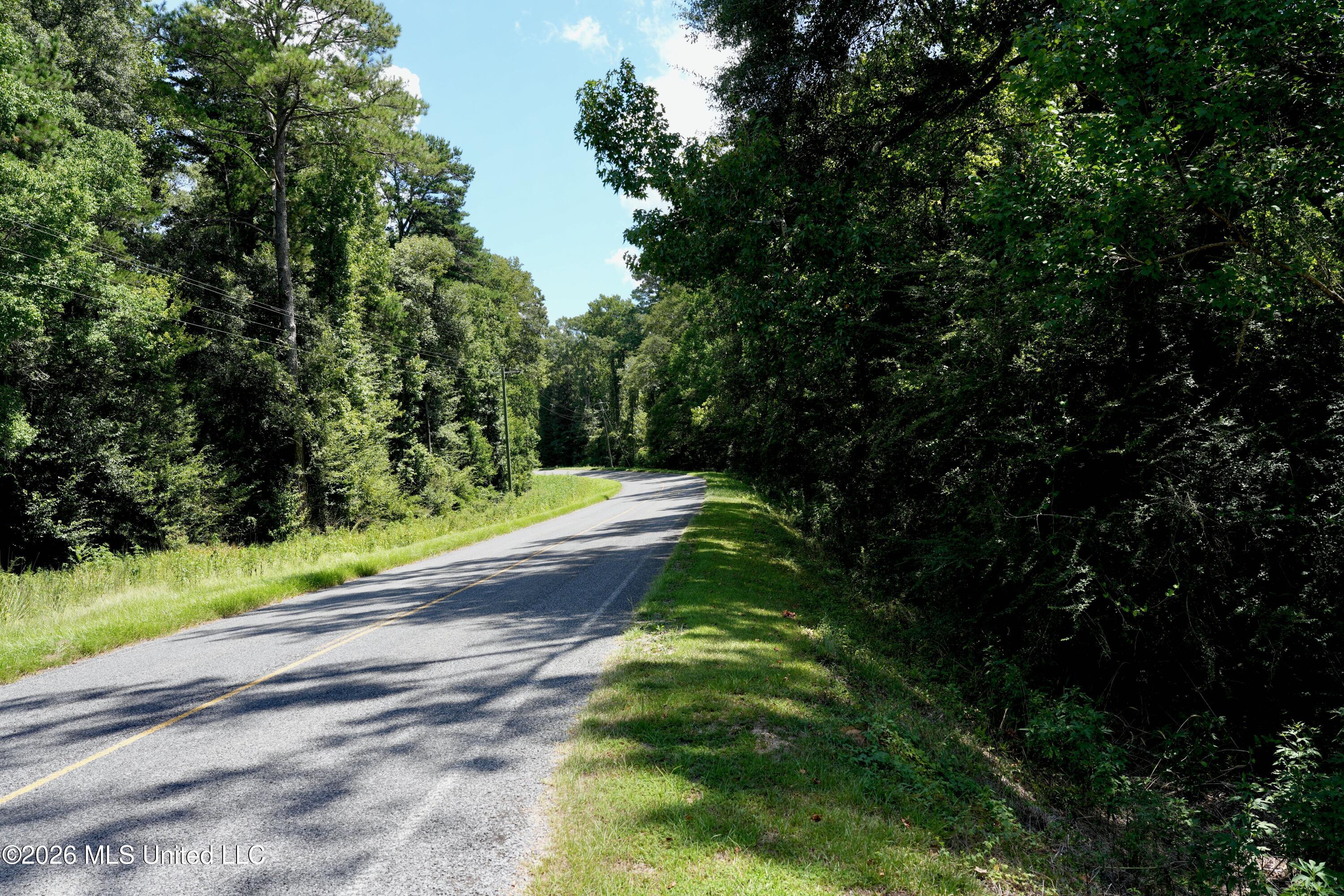Xxxx Hamp Lea Road Magnolia, MS 39652 - Photo 11 of 48 DSC03972