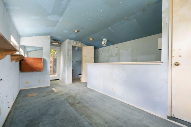 a view of a pathway of a yard