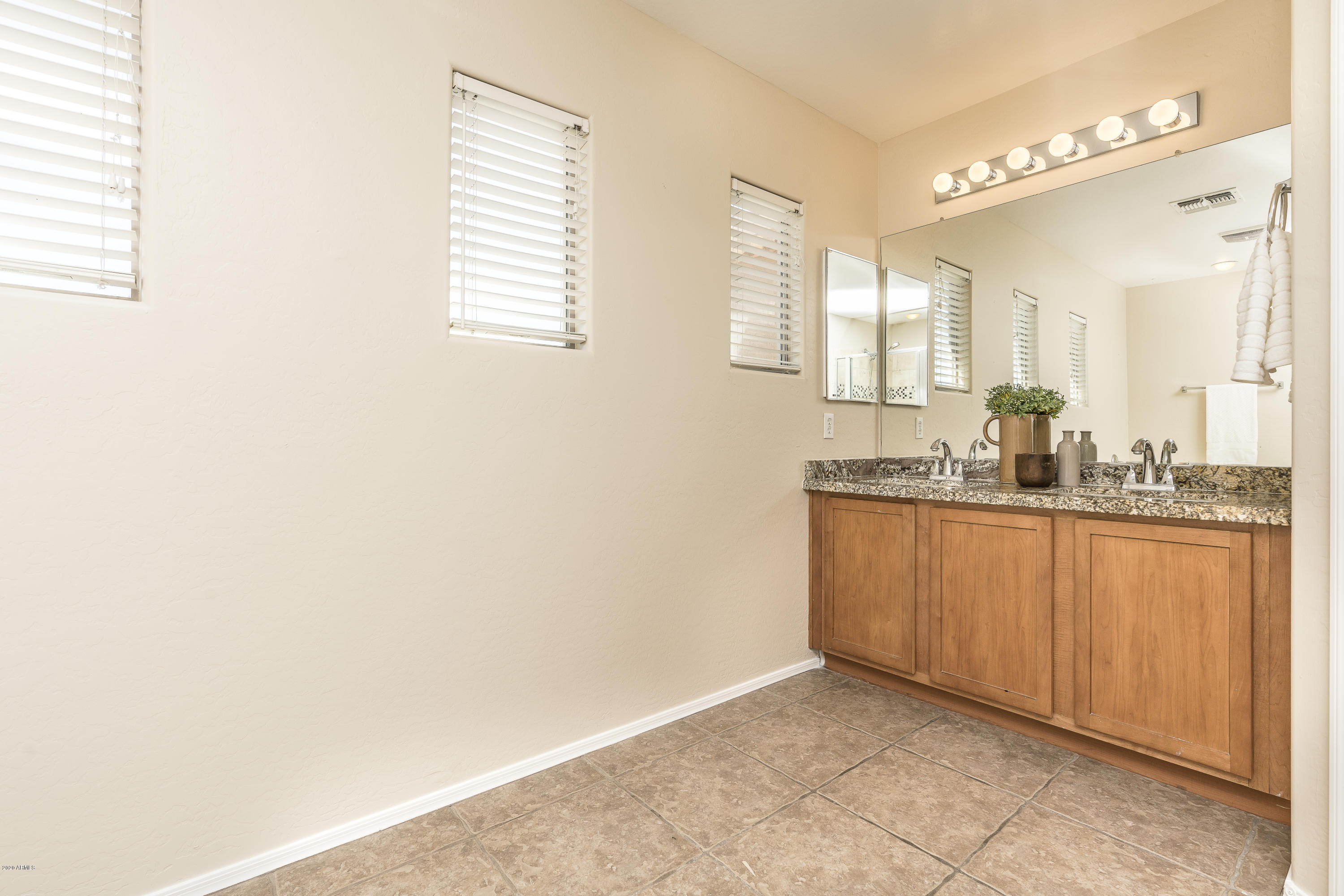 9306 West Bonitos Road Phoenix, AZ 85037 - Photo 19 of 45 DSC08787