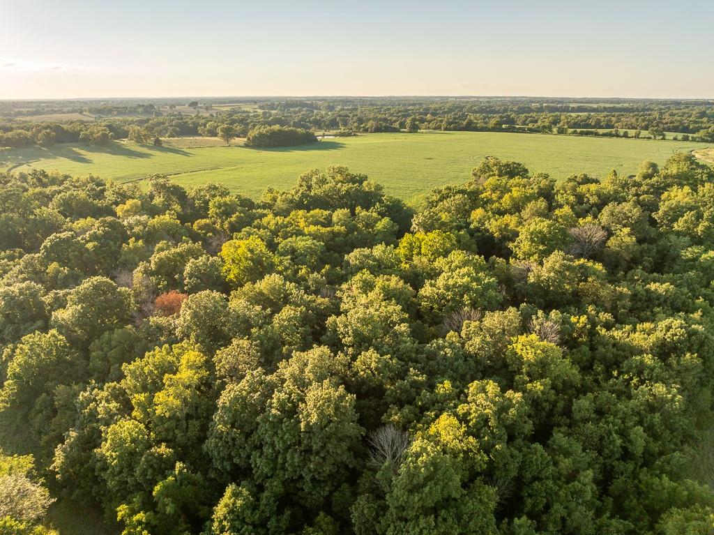 630 Northwest Nw Road Appleton City, MO 64724 - Photo 23 of 59