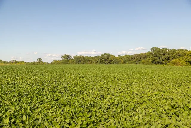 $945,000 | 630 Northwest Nw Road, Appleton City, MO 64724