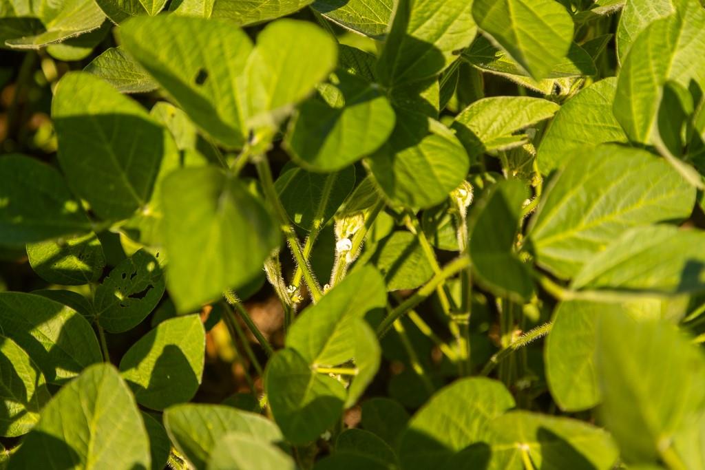 630 Northwest Nw Road Appleton City, MO 64724 - Photo 25 of 59