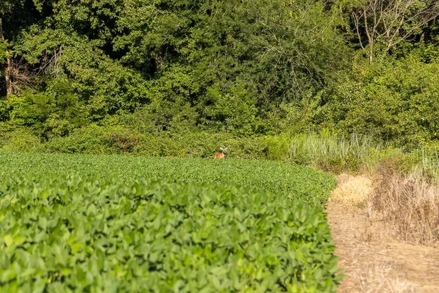 $945,000 | 630 Northwest Nw Road, Appleton City, MO 64724