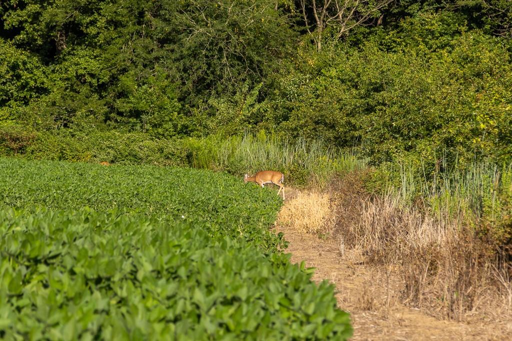630 Northwest Nw Road Appleton City, MO 64724 - Photo 28 of 59