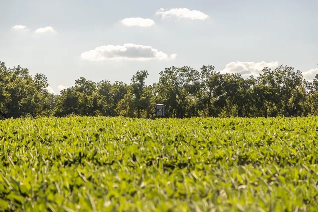 $945,000 | 630 Northwest Nw Road, Appleton City, MO 64724