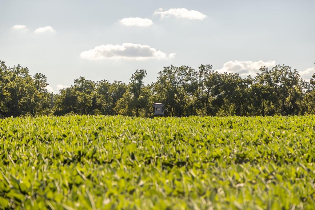 630 Northwest Nw Road Appleton City, MO 64724 - Photo 29 of 59