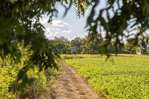 $945,000 | 630 Northwest Nw Road, Appleton City, MO 64724