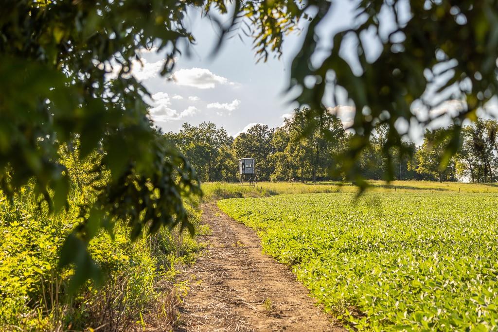 630 Northwest Nw Road Appleton City, MO 64724 - Photo 30 of 59