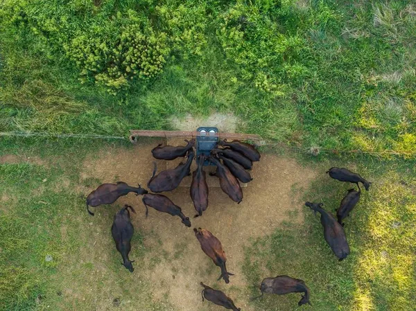 $945,000 | 630 Northwest Nw Road, Appleton City, MO 64724