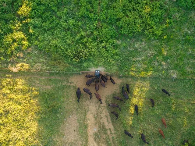 $945,000 | 630 Northwest Nw Road, Appleton City, MO 64724