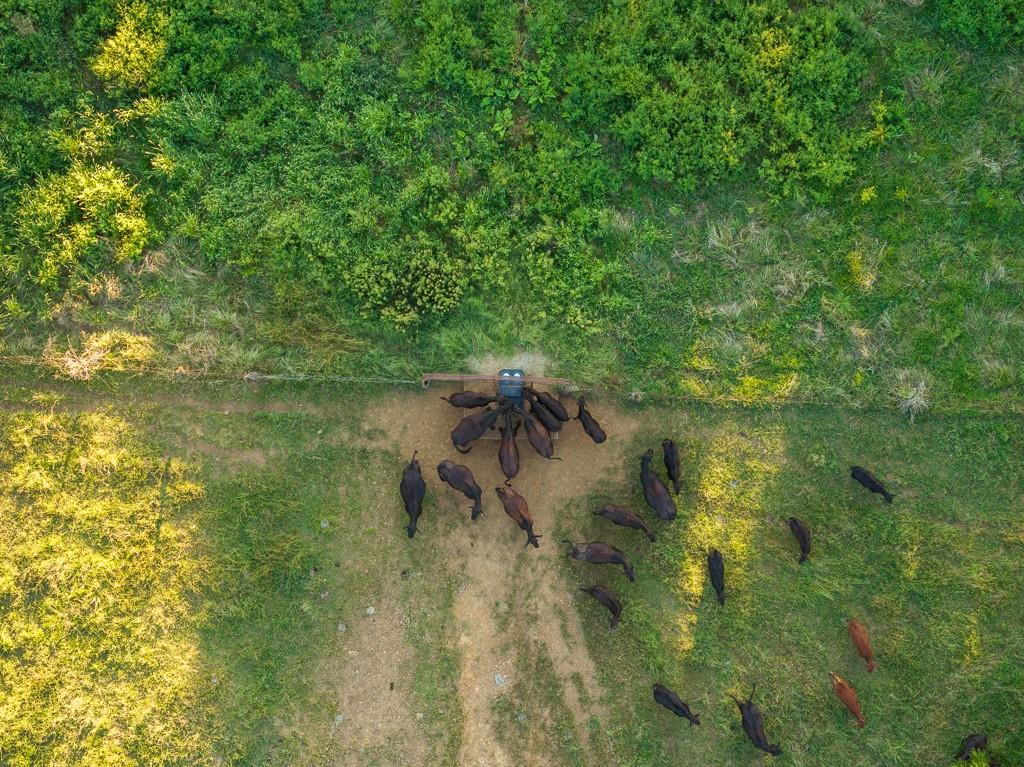 630 Northwest Nw Road Appleton City, MO 64724 - Photo 38 of 59