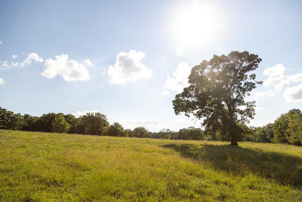 630 Northwest Nw Road Appleton City, MO 64724 - Photo 41 of 59