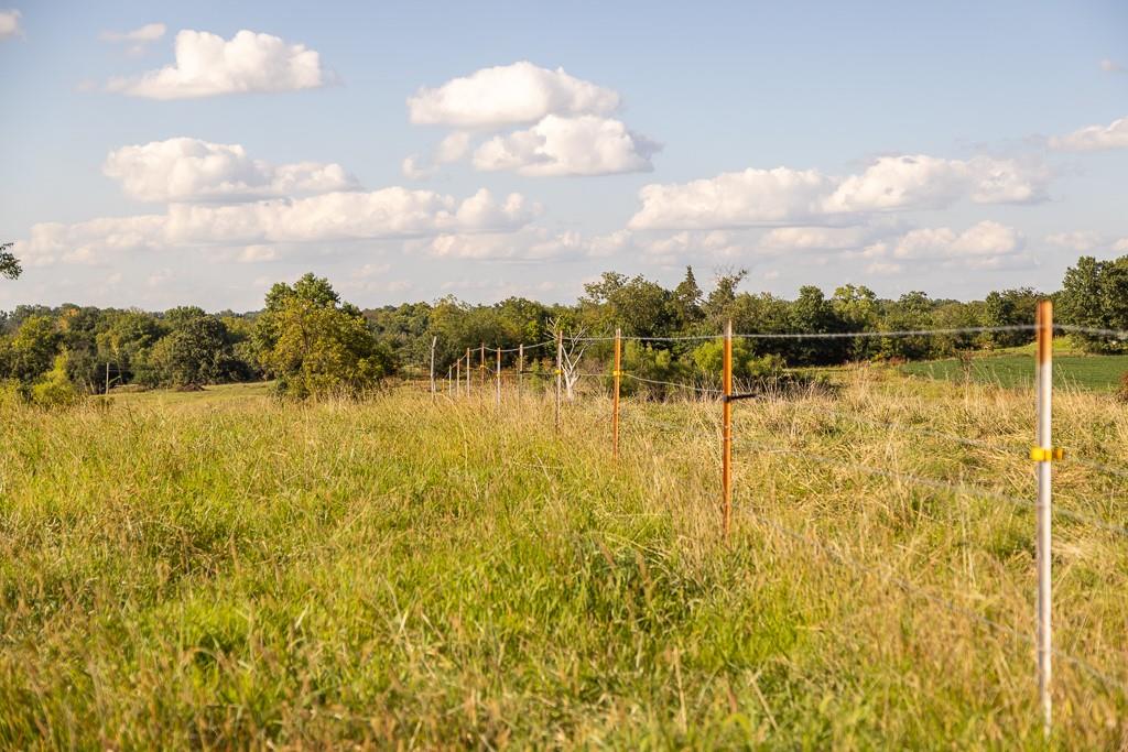 630 Northwest Nw Road Appleton City, MO 64724 - Photo 44 of 59