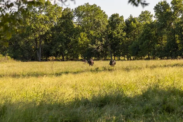 $945,000 | 630 Northwest Nw Road, Appleton City, MO 64724