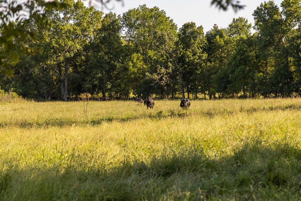 630 Northwest Nw Road Appleton City, MO 64724 - Photo 46 of 59