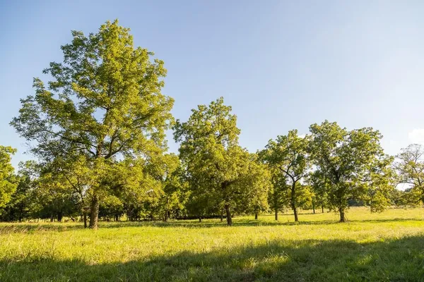 $945,000 | 630 Northwest Nw Road, Appleton City, MO 64724