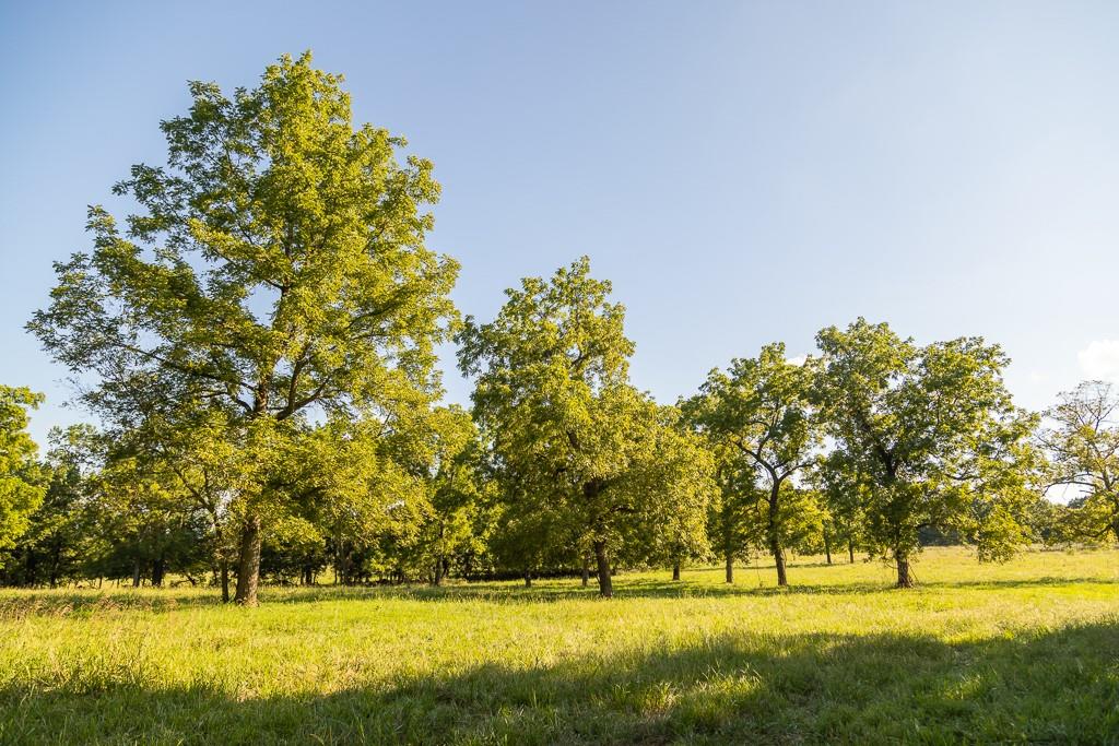 630 Northwest Nw Road Appleton City, MO 64724 - Photo 47 of 59