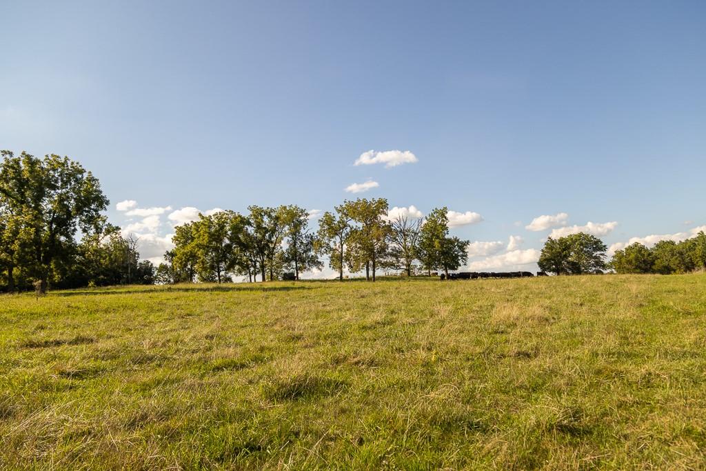 630 Northwest Nw Road Appleton City, MO 64724 - Photo 50 of 59