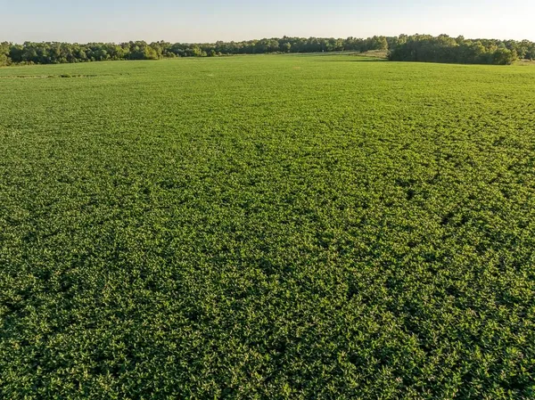 $945,000 | 630 Northwest Nw Road, Appleton City, MO 64724