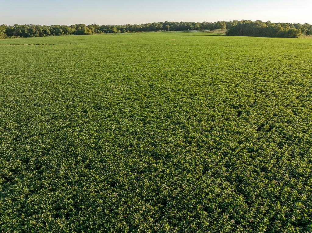 630 Northwest Nw Road Appleton City, MO 64724 - Photo 5 of 59