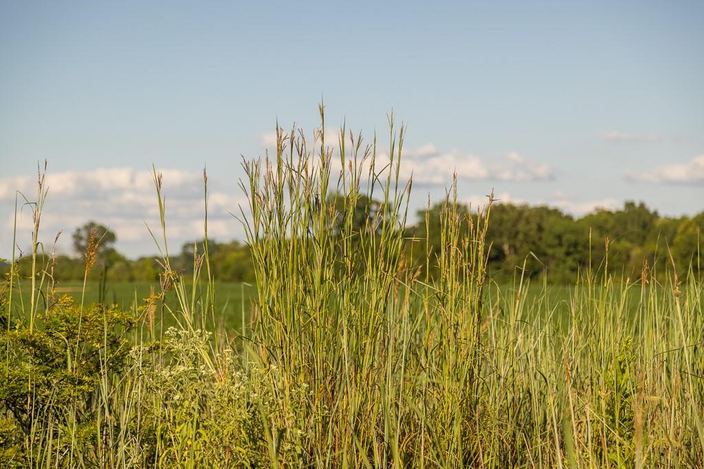 630 Northwest Nw Road Appleton City, MO 64724 - Photo 53 of 59