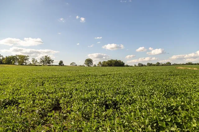 $945,000 | 630 Northwest Nw Road, Appleton City, MO 64724