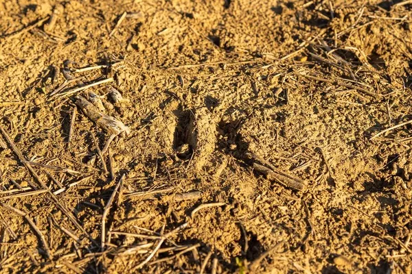 $945,000 | 630 Northwest Nw Road, Appleton City, MO 64724