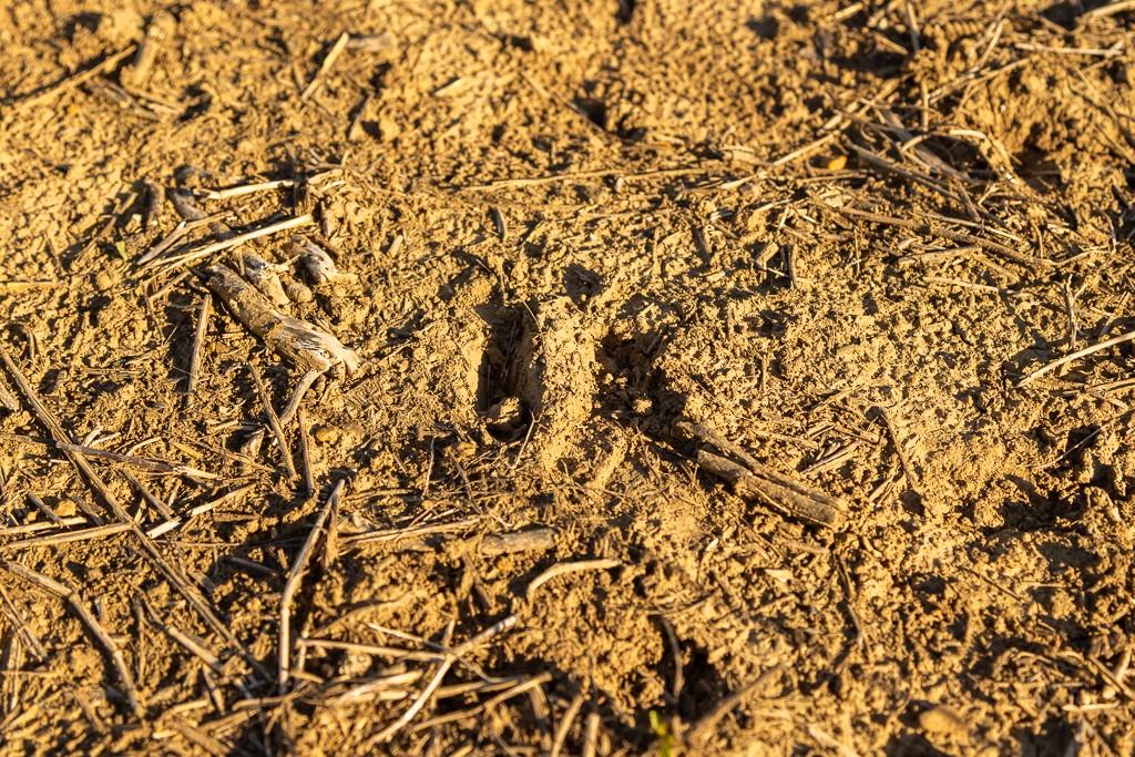 630 Northwest Nw Road Appleton City, MO 64724 - Photo 57 of 59