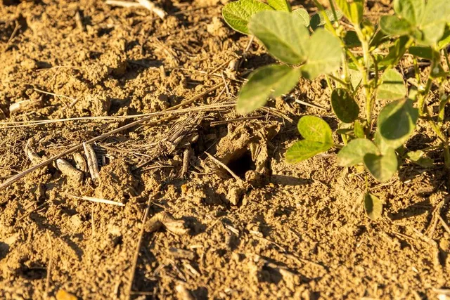 $945,000 | 630 Northwest Nw Road, Appleton City, MO 64724