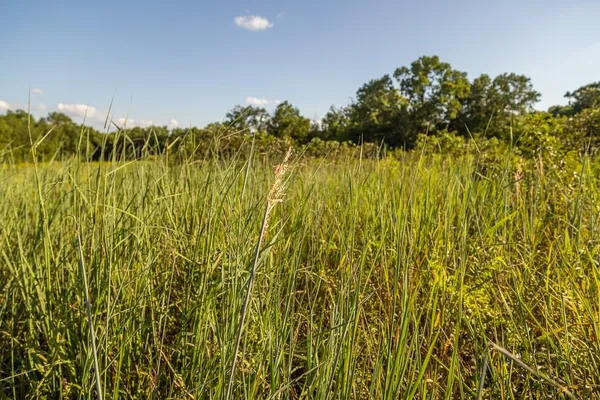 $945,000 | 630 Northwest Nw Road, Appleton City, MO 64724