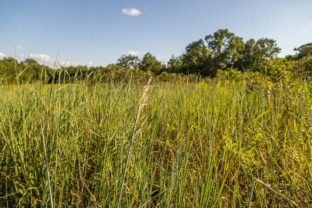 630 Northwest Nw Road Appleton City, MO 64724 - Photo 59 of 59