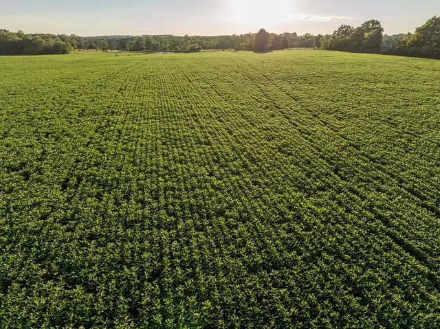 $945,000 | 630 Northwest Nw Road, Appleton City, MO 64724