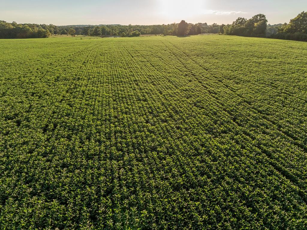 630 Northwest Nw Road Appleton City, MO 64724 - Photo 6 of 59