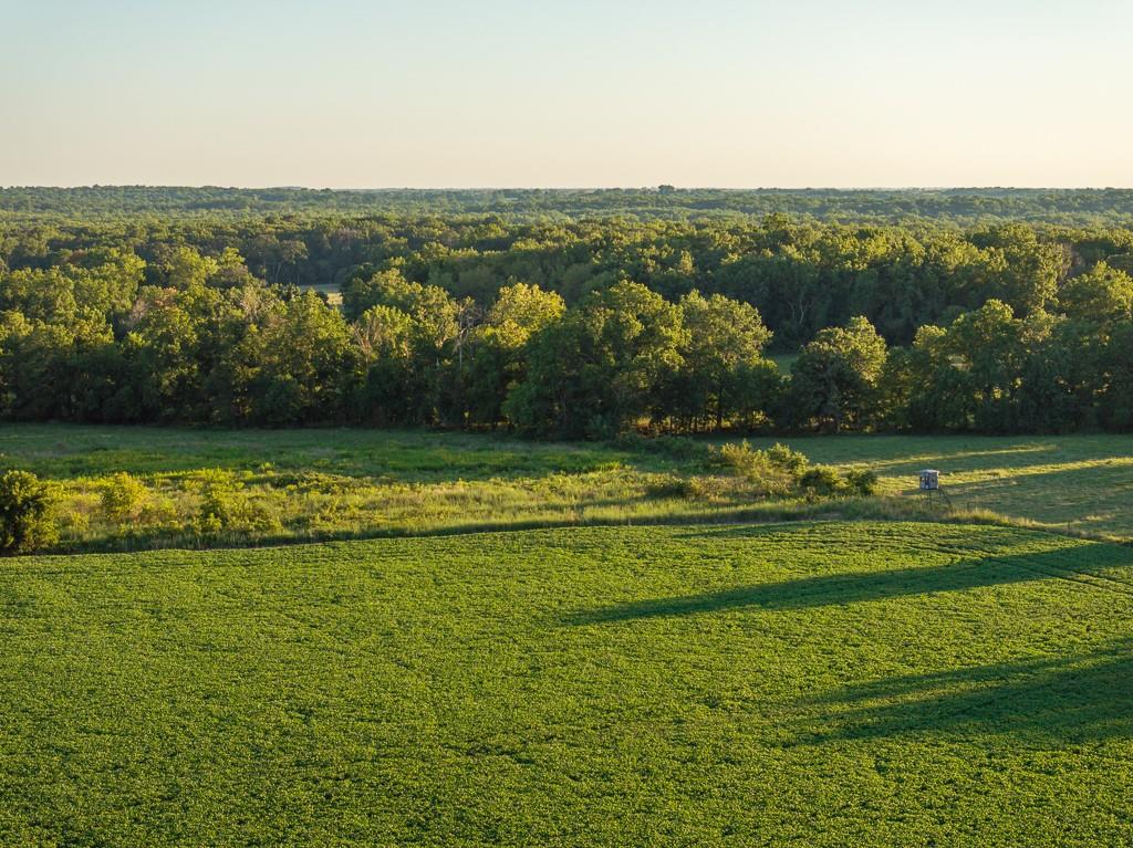 630 Northwest Nw Road Appleton City, MO 64724 - Photo 10 of 59
