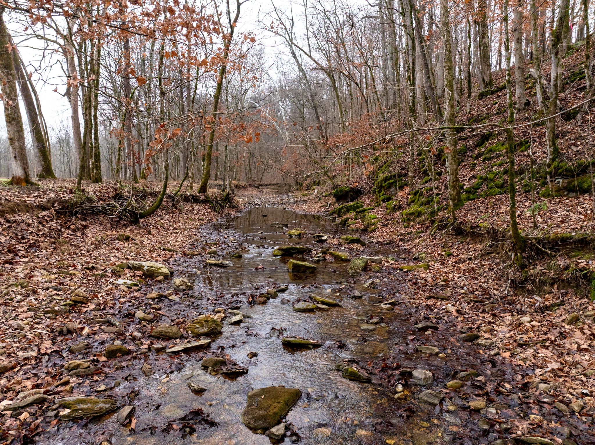 0 Shelter Branch Road Charlotte, TN 37036 - Photo 7 of 30