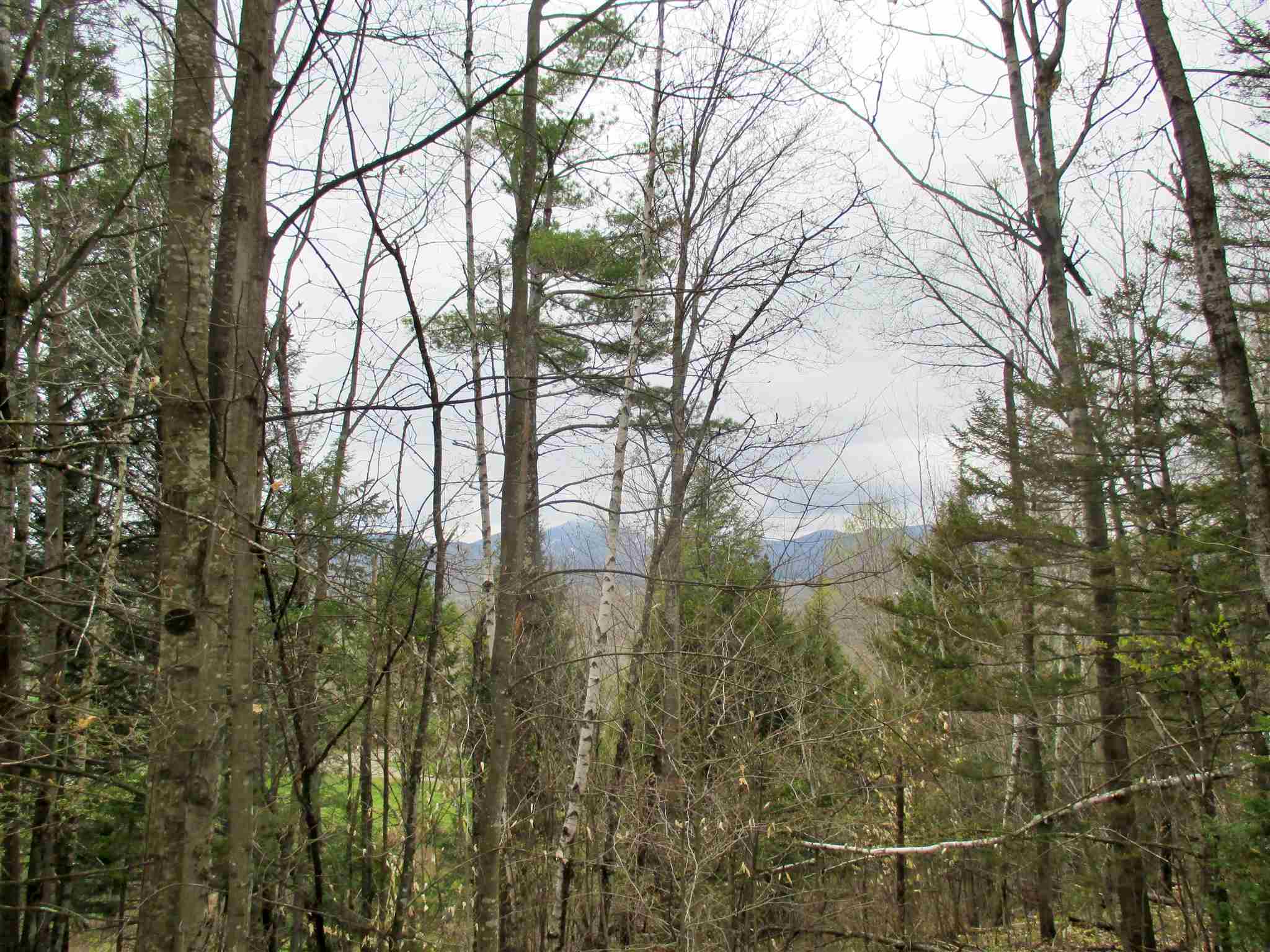623 Bergeron Road Troy, VT 05859 - Photo 1 of 7 Gallery Image 1