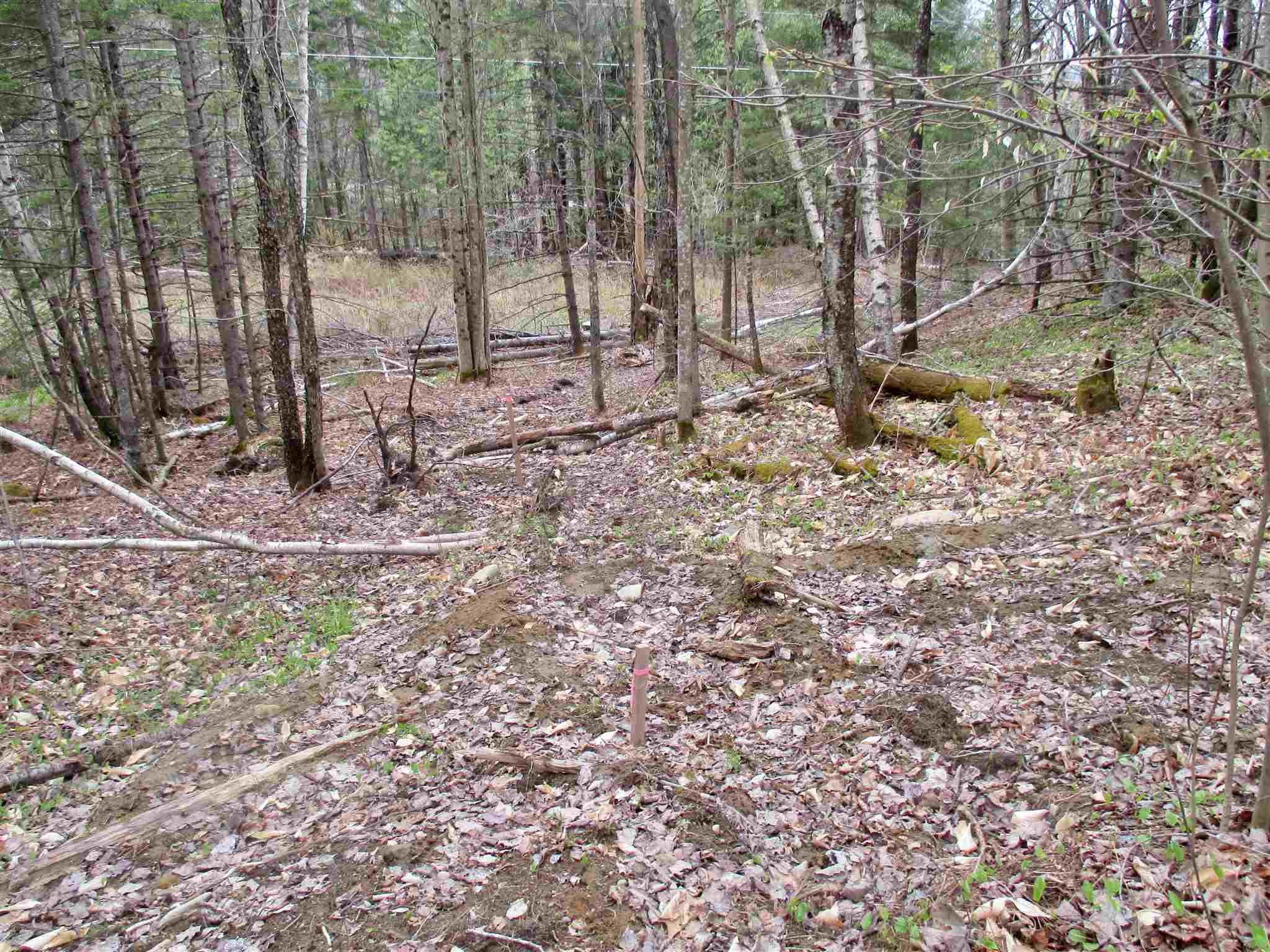 623 Bergeron Road Troy, VT 05859 - Photo 3 of 7 Gallery Image 3