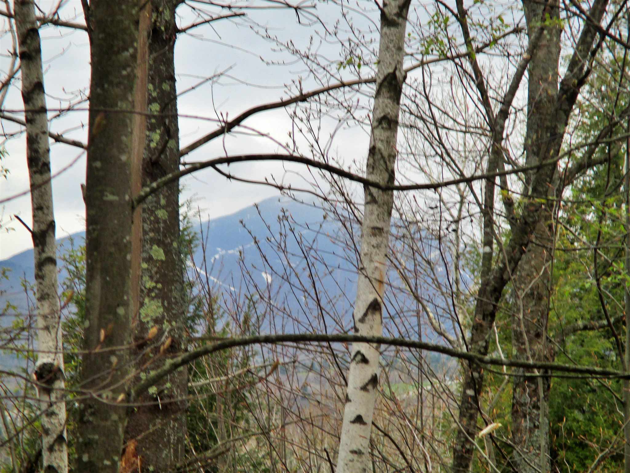 623 Bergeron Road Troy, VT 05859 - Photo 5 of 7 Gallery Image 5