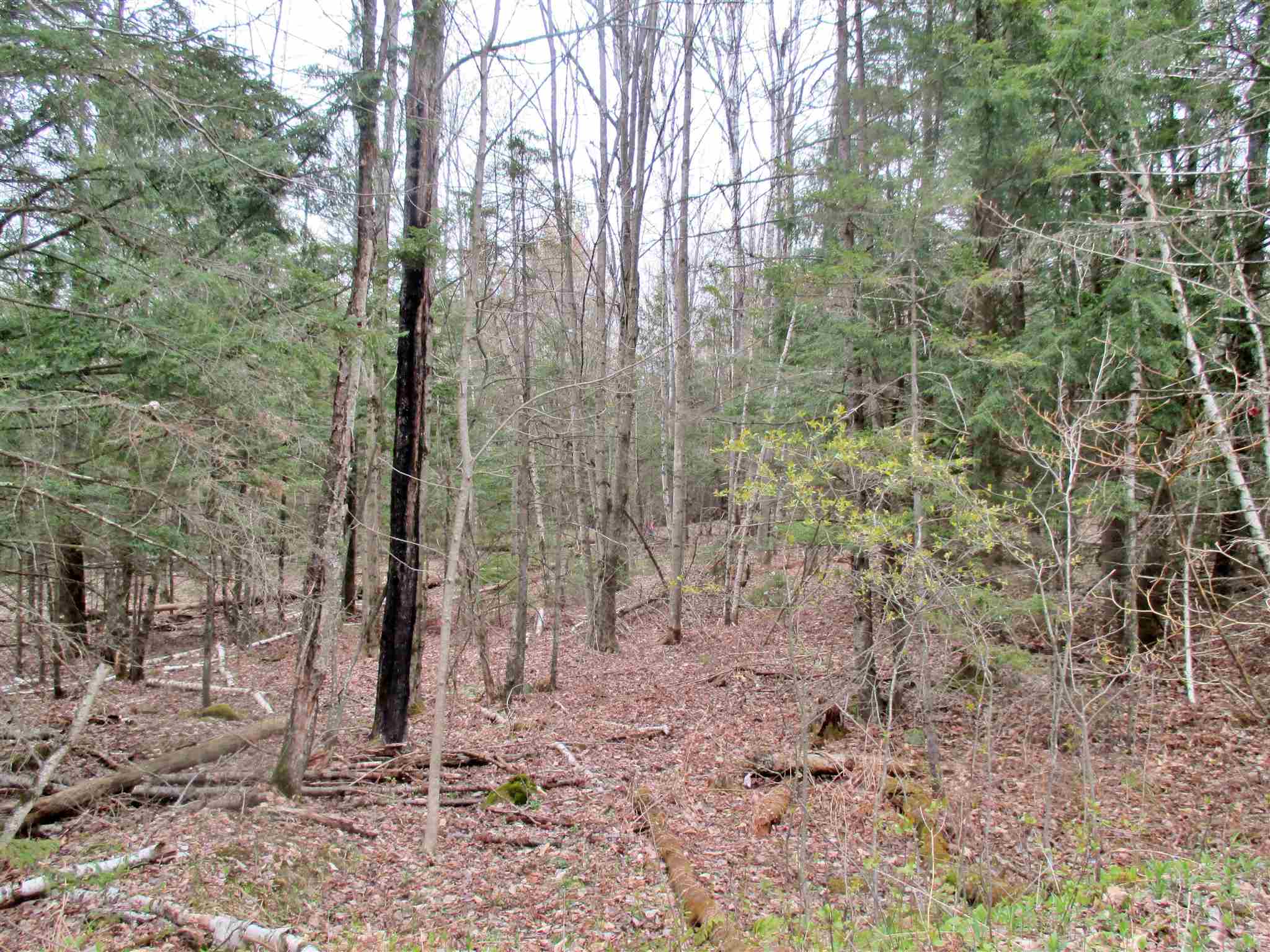 623 Bergeron Road Troy, VT 05859 - Photo 6 of 7 Gallery Image 6