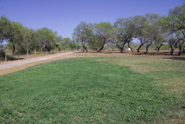 779 County Road 1145 South Riviera, TX 78379 - Photo 11 of 14 Gallery Image 11