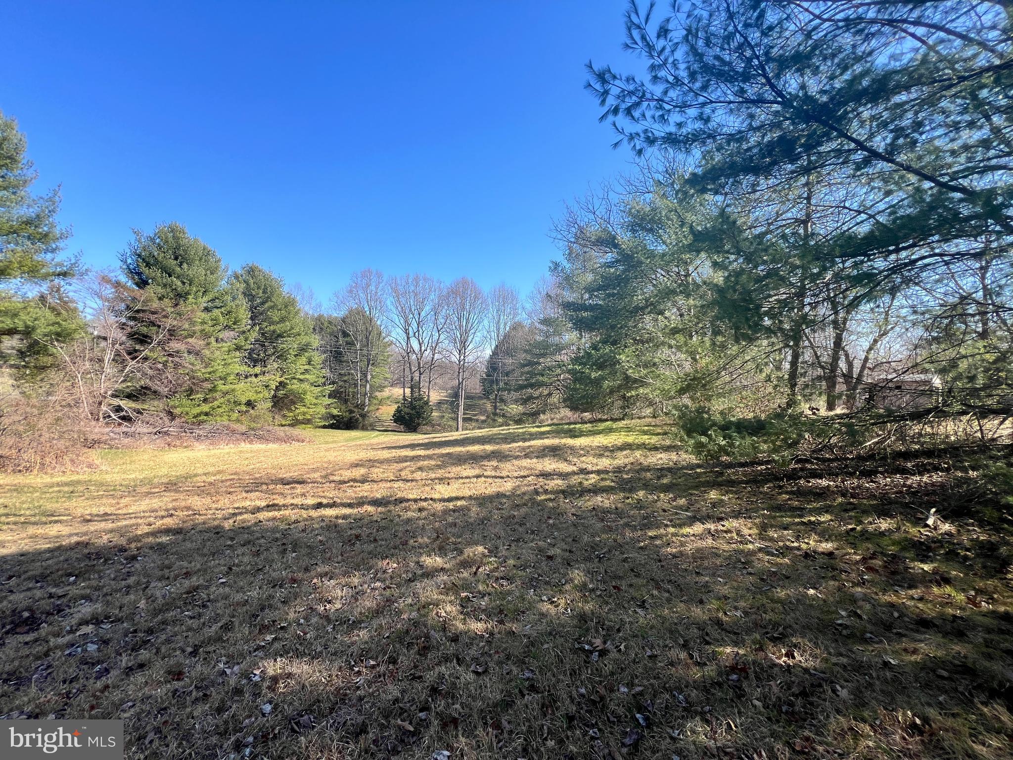 Eggbornsville Road Rixeyville, VA 22737 - Photo 2 of 6 Nicely balanced with about 5 acres open, 6 wooded.