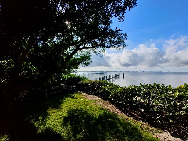 a picture of flowers