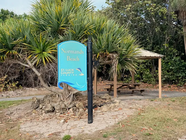 a view of a backyard with a tree