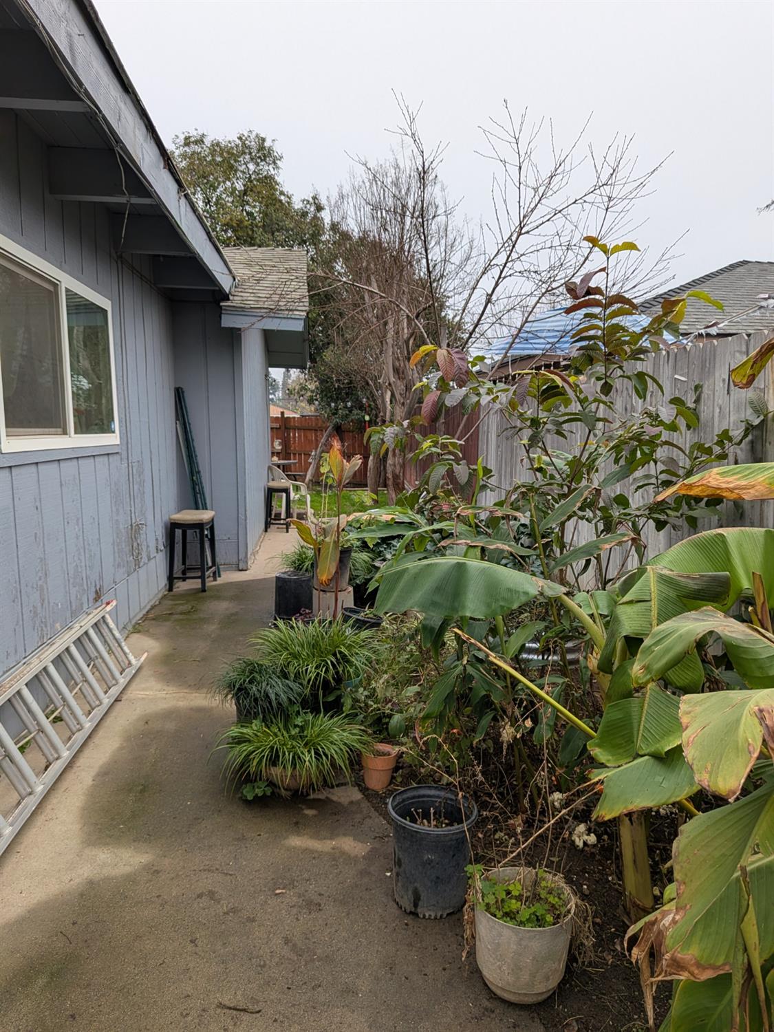 5209 North Angus Street Fresno, CA 93710 - Photo 29 of 33 a view of a backyard with chair and potted plants